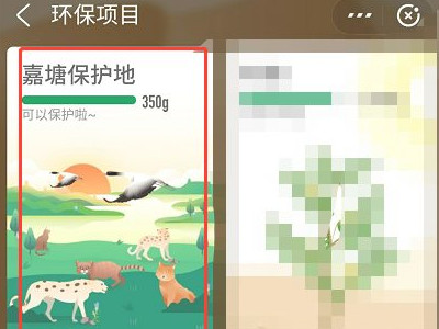 蚂蚁森林保护地怎么弄第3步