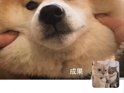 批量删除朋友圈 不清空第2步