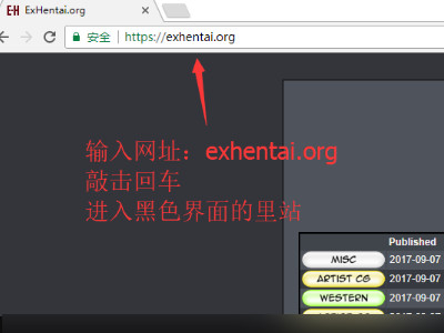 ehviewer网页版里站咋进第5步