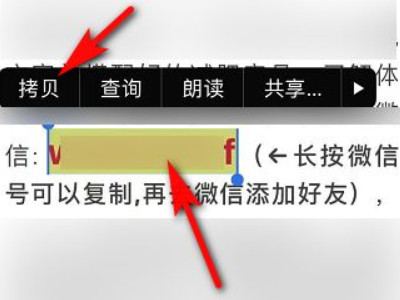 长按复制微信号添加微信第1步