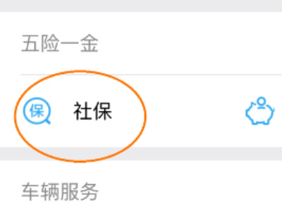 怎么查询自己的参保地第4步