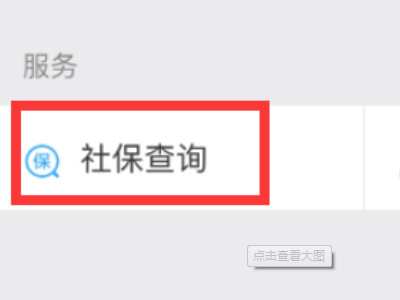 怎么查询自己的参保地第5步