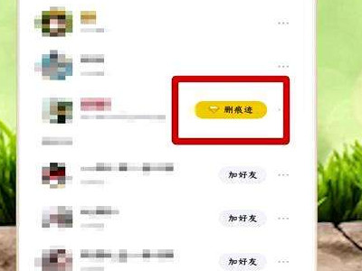 带黄钻的访客删不掉咋办第4步