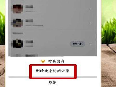 带黄钻的访客删不掉咋办第6步