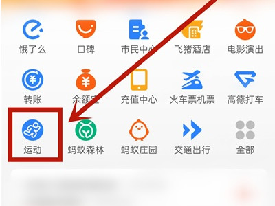 支付宝运动没有历史记录第1步