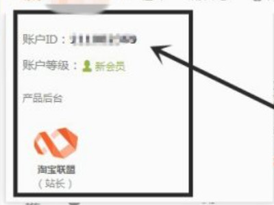 淘宝pid在哪里看到第4步