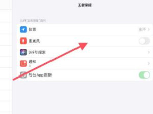 ipad王者没声音了怎么回事第4步