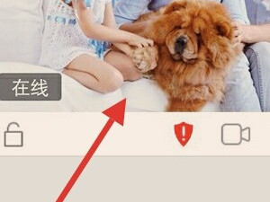 无线摄像头怎么连接wifi第4步