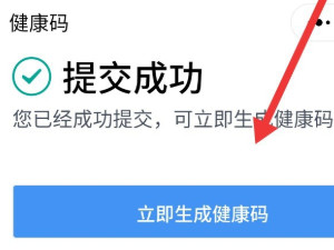 健康码类别怎么填写第8步