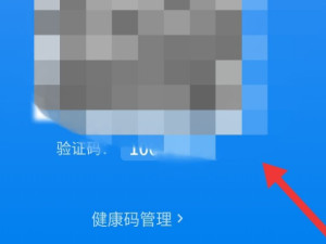 健康码类别怎么填写第9步