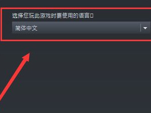scp秘密实验室怎么调中文第6步