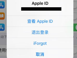 苹果下载怎么取消简短验证第3步