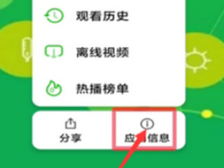 爱奇艺有网络但打不开第2步
