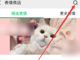 微信怎样设置主题和气泡第2步