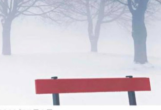 小组件怎么换照片第5步