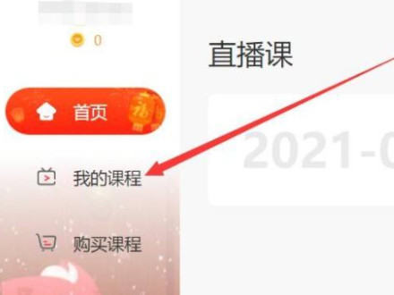 掌门优课怎么关闭摄像头第3步