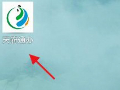 天府通办怎么查个人档案第1步