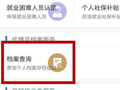天府通办怎么查个人档案第3步