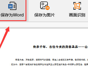 拍照图片转换成word文档第4步