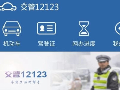 如何查询个人车辆信息第2步