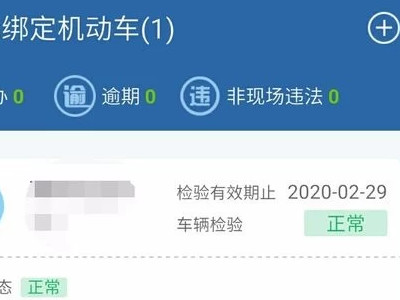 如何查询个人车辆信息第3步