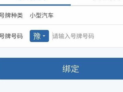 如何查询个人车辆信息第4步