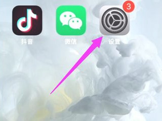 苹果12wifi断网严重第1步