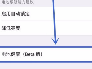 ios14怎么关闭降频第3步