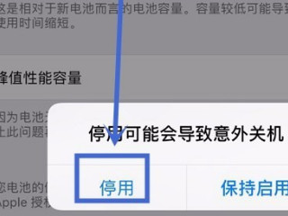 ios14怎么关闭降频第5步