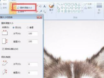 怎么用画图工具调整照片kb第3步