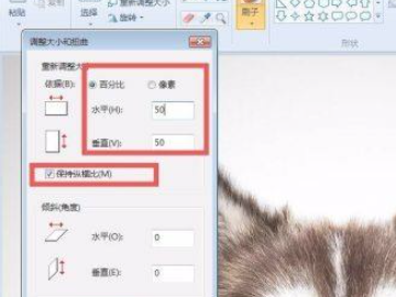 怎么用画图工具调整照片kb第4步