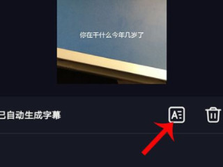 拍同款自动字幕怎么弄第3步