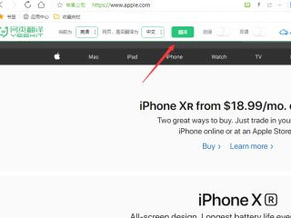 如何翻译整个网页第4步
