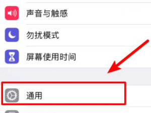 xr相机放大1×怎么设置第2步