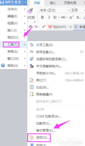 wps输入不进去文字第2步