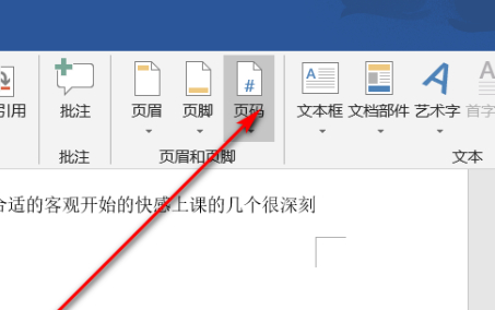 如何编辑页码按顺序第2步