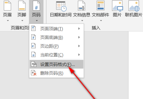 如何编辑页码按顺序第4步