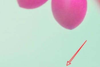 电脑图标点击没反应,打不开第1步