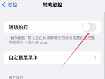 siri的小圆圈怎么设置第4步