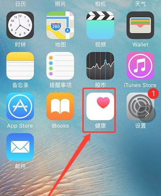 苹果步数在哪里看的第1步