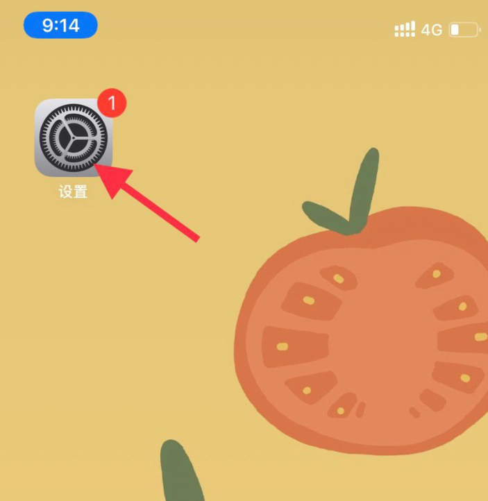 怎么改airpods的蓝牙名字第1步