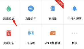 怎么看流量使用明细第3步
