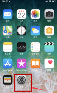 iphone蜂窝网络改dns第1步