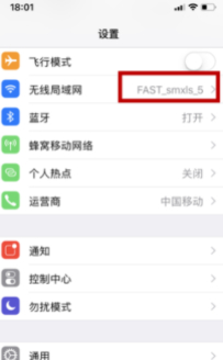 iphone蜂窝网络改dns第2步