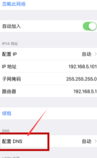 iphone蜂窝网络改dns第4步