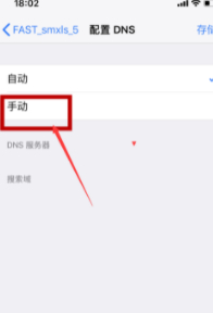 iphone蜂窝网络改dns第5步