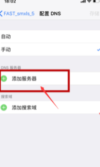 iphone蜂窝网络改dns第6步