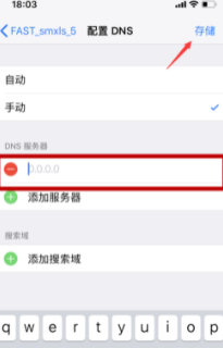 iphone蜂窝网络改dns第7步