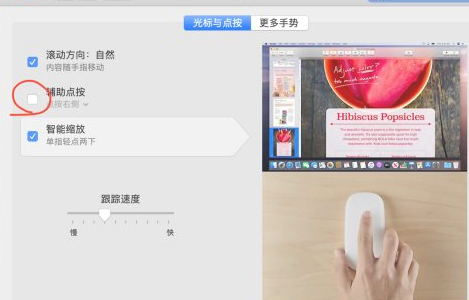 苹果鼠标右键怎么按第2步