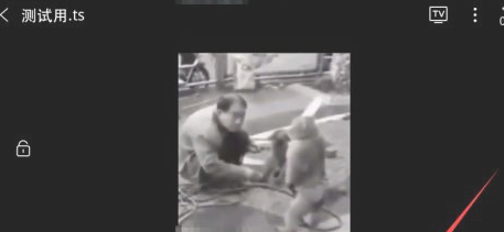 手机ts文件怎么播放第5步